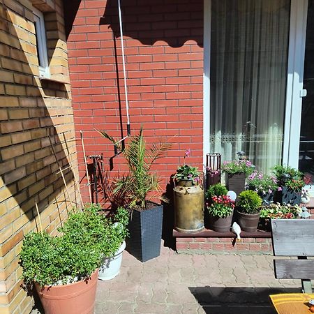 Ogrodek U Eli Apartment Kołobrzeg Exterior foto