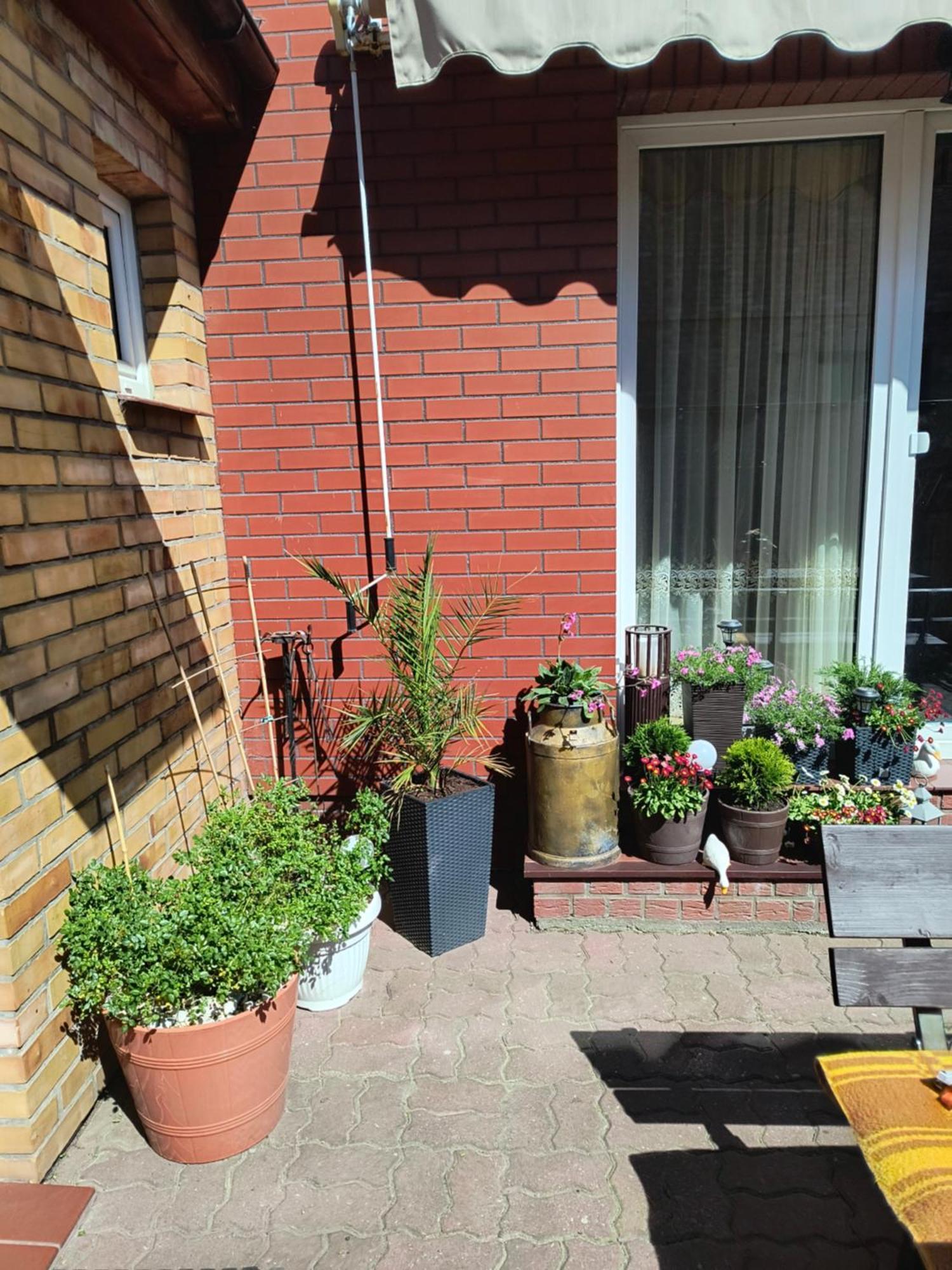 Ogrodek U Eli Apartment Kołobrzeg Exterior foto